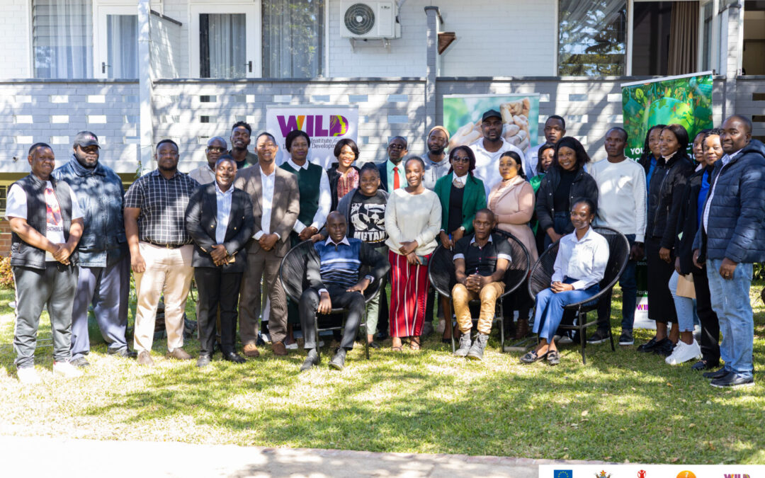 A Pathway to Sustainability: Green Jobs Innovation Hub